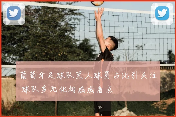 葡萄牙足球队黑人球员占比引关注 球队多元化构成成看点