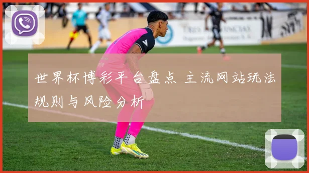 世界杯博彩平台盘点 主流网站玩法规则与风险分析