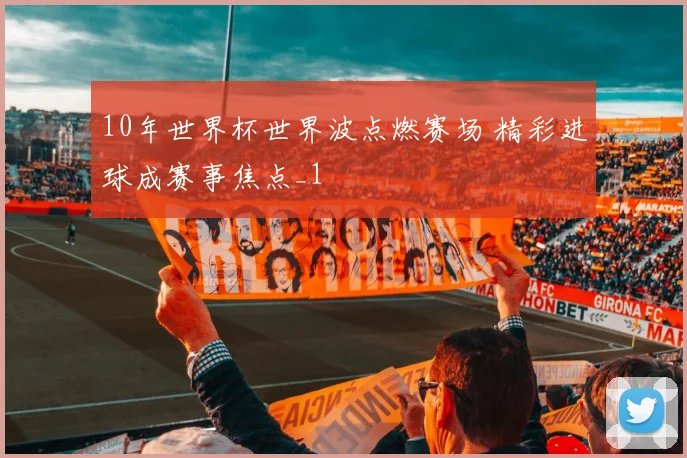 10年世界杯世界波点燃赛场 精彩进球成赛事焦点_1