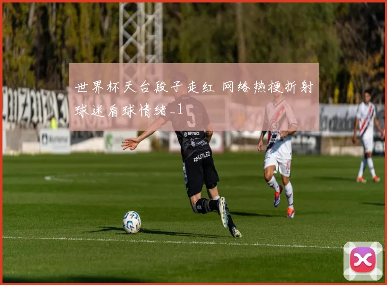 世界杯天台段子走红 网络热梗折射球迷看球情绪_1
