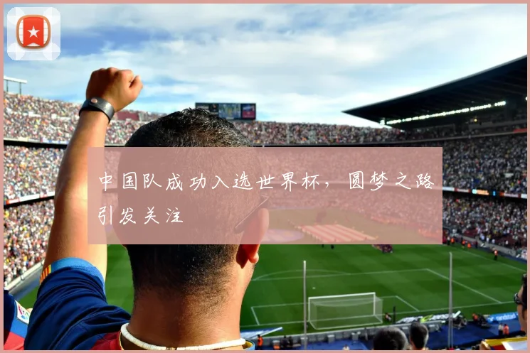 中国队成功入选世界杯,圆梦之路引发关注